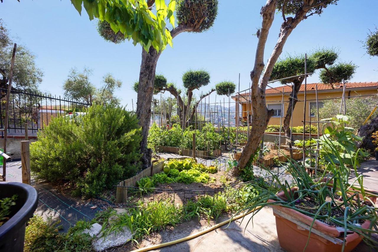 Ca Dei Tati - Citra 1181 Apartment Imperia Bagian luar foto